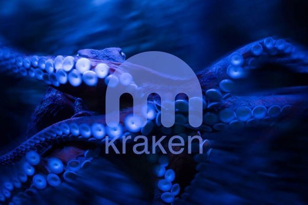 Kraken 11at