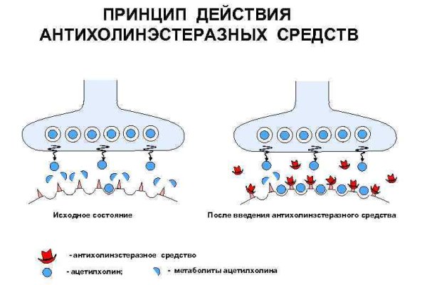 Омг даркмаркет